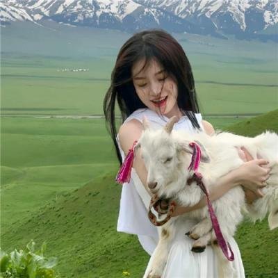 请给我寄粉丝信